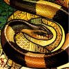 Banded Krait Snake Art Diamond Painting