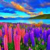 Beautiful Lupines Field Nature Diamond Painting