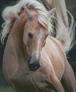 Beige Draft Horse Diamond Painting