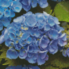 Blue Hydrangea Flowers Diamond Painting