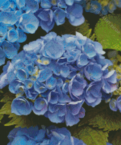 Blue Hydrangea Flowers Diamond Painting