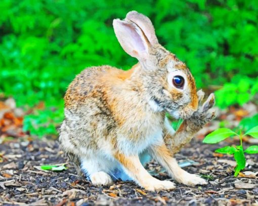 Brown Rabbit Near Green Leafed Diamond Painting