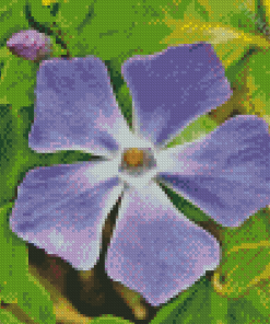 Close Up Periwinkle Purple Flower Diamond Painting