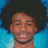 Coby White Diamond Painting