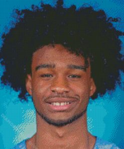 Coby White Diamond Painting