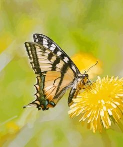 Dandelion Butterfly Diamond Painting