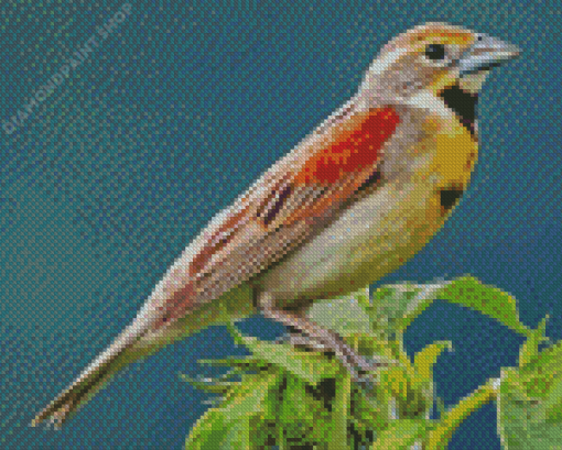 Dickcissel Bird Diamond Painting