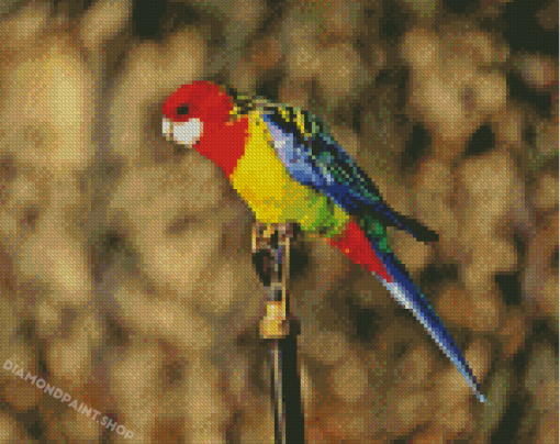 Eastern Rosella Diamond Painting