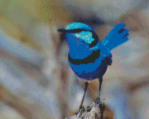 Fairy Wren Bird Diamond Painting