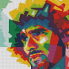 Marouane Fellaini Pop Art Diamond Painting