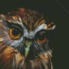 Morepork Owl Bird Diamond Painting