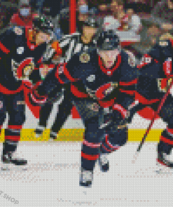 Ottawa Senators Ice Hockey Team Diamond Painting