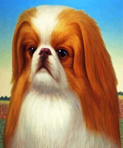 Pekingese Dog Art Diamond Painting