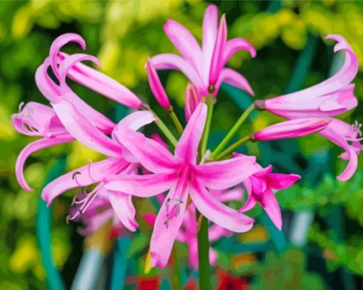 Pink Nerine Flowering Plants Diamond Painting