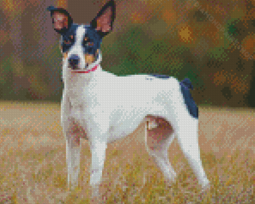 Rat Terriers Puppy Diamond Painting