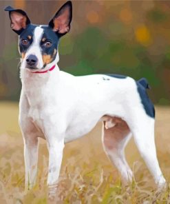 Rat Terriers Diamond Painting