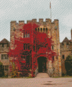 Red Plant On Hever Castle Wall Diamond Painting