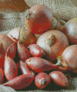 Shallots Vegetable Diamond Painting