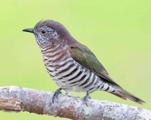 Shining Bronze Cuckoo Diamond Painting