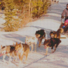 Sled Dogs Diamond Painting