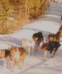 Sled Dogs Diamond Painting