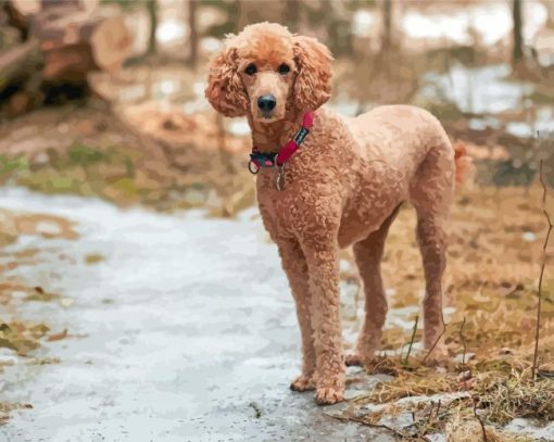 Standard Poodle Diamond Painting