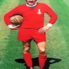 Steve Heighway Footballer Diamond Painting