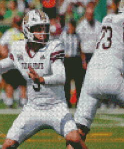 Texas State Bobcats Footballer Diamond Painting