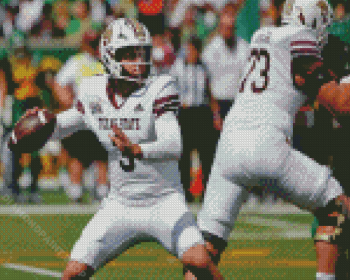 Texas State Bobcats Footballer Diamond Painting