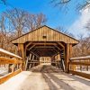 Toledo Ohio Wildwood Metropark Covered Bridge Diamond Painting