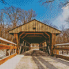 Toledo Ohio Wildwood Metropark Covered Bridge Diamond Painting