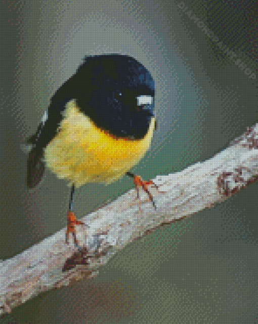 Tomtit Bird Diamond Painting