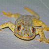 True Gecko Diamond Painting