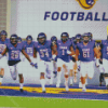 University Northern Iowa Panthers Football Team Diamond Painting