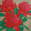 Waratah Plants Diamond Painting