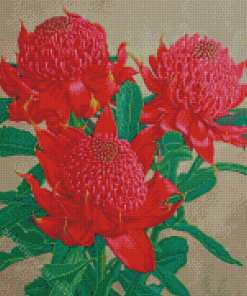 Waratah Plants Diamond Painting