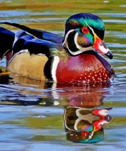 Wood Duck In Water Diamond Painting