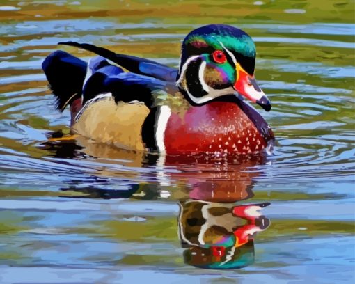 Wood Duck In Water Diamond Painting