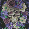 Aeshetic Floral Skull Diamond Painting