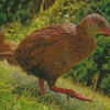 Aesthetic Weka Diamond Painting