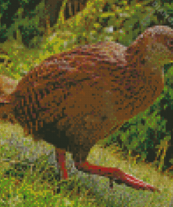 Aesthetic Weka Diamond Painting