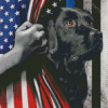 Aesthetic Black Lab With Flag Diamond Painting