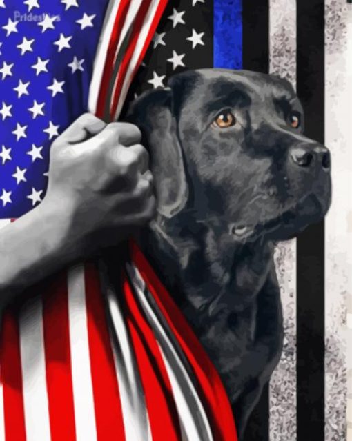 Aesthetic Black Lab With Flag Diamond Painting