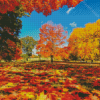 Autumn Central Park Diamond Painting