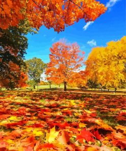 Autumn Central Park Diamond Painting