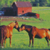 Brown Horse In Farm Diamond Painting