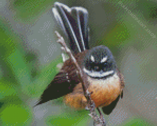 Cute New Zealand Fantail Diamond Painting