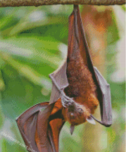 Giant Golden Crowned Flying Fox Hanging In Tree Diamond Painting