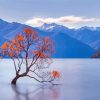 Lake Wanaka Tree New Zealand Diamond Painting