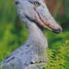 Shoebill Bird Diamond Painting